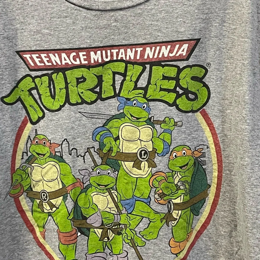 Ninja turtle - Picture 2 of 5